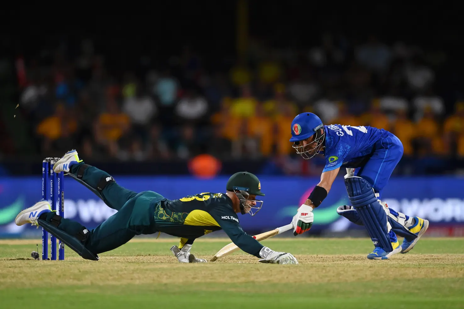 Afghanistan trigger a cricket earthquake, put Australia’s cup campaign on the ropes