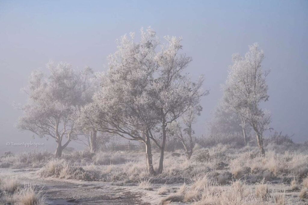 Australia Coldest Inhabited Place Liawenee Breaks Records