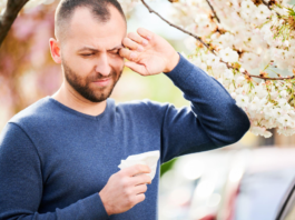 Hay Fever At Work: How to Manage Seasonal Allergies In the Workplace