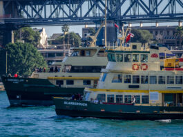 The Most Scenic Ferry Journeys in Sydney