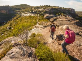 Top Easy Day Hikes Near Sydney for Nature Enthusiasts